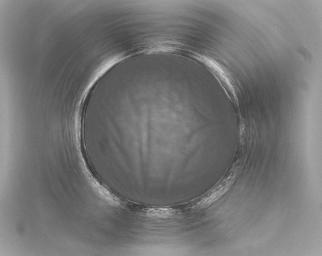 X0000116020859200912041749