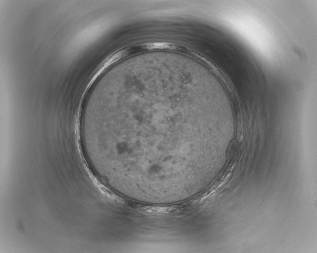 X0000116020861200912041749