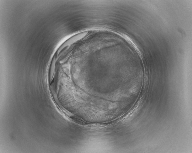 X0000116020862200912041749