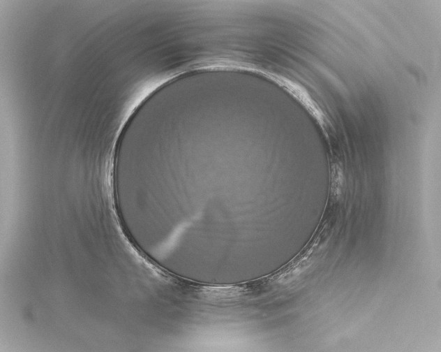 X0000116020863200912041749