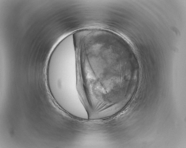 X0000116020864200912041749