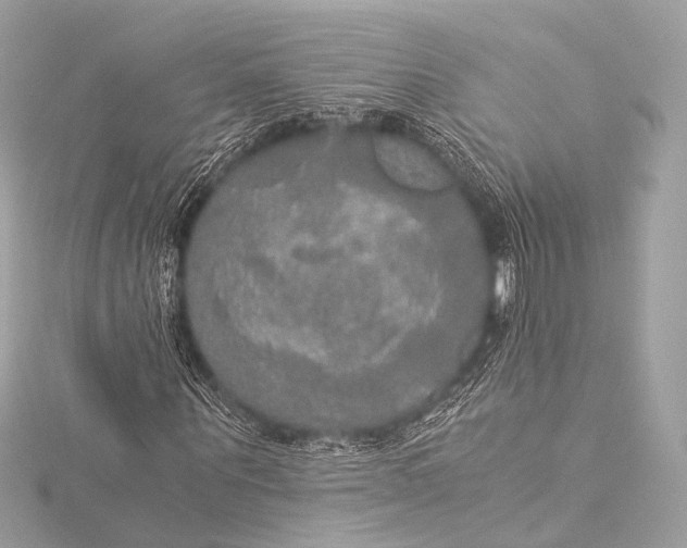 X0000116020867200912041748