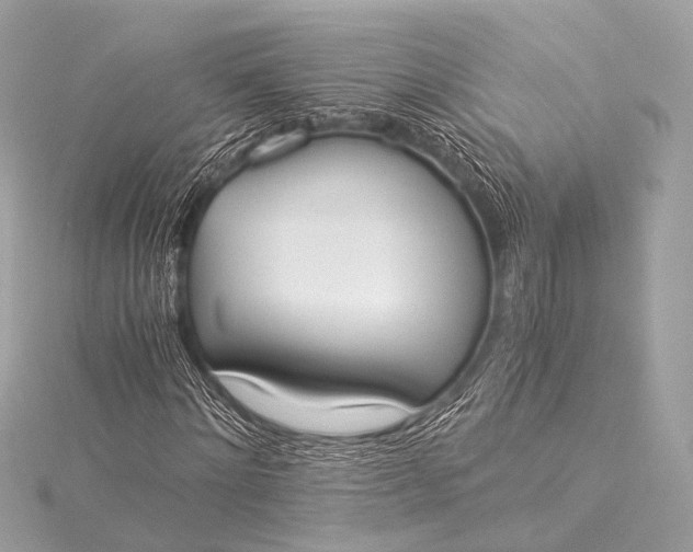 X0000116020868200912041748