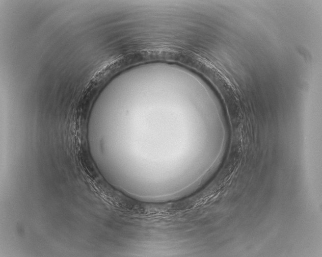 X0000116020870200912041748