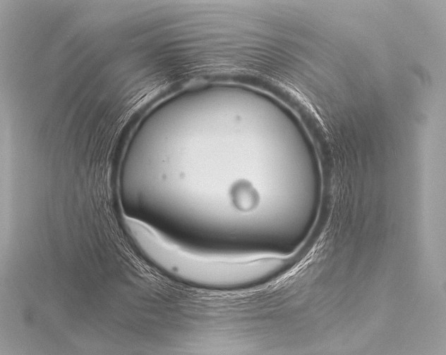 X0000116020873200912041748