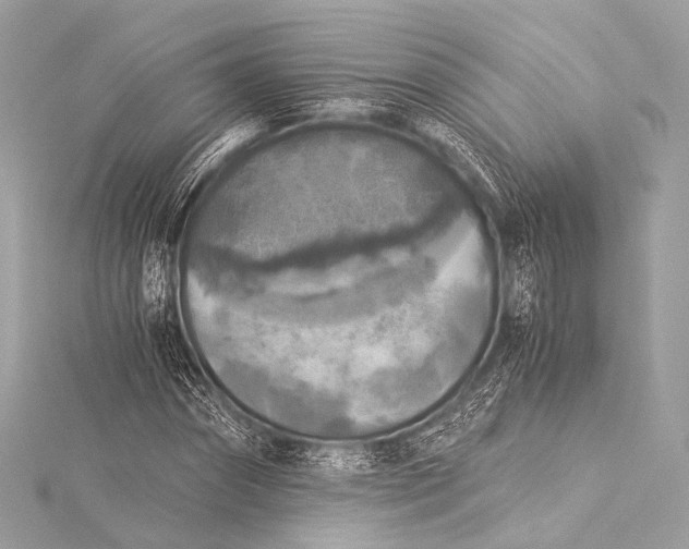 X0000116020874200912041748