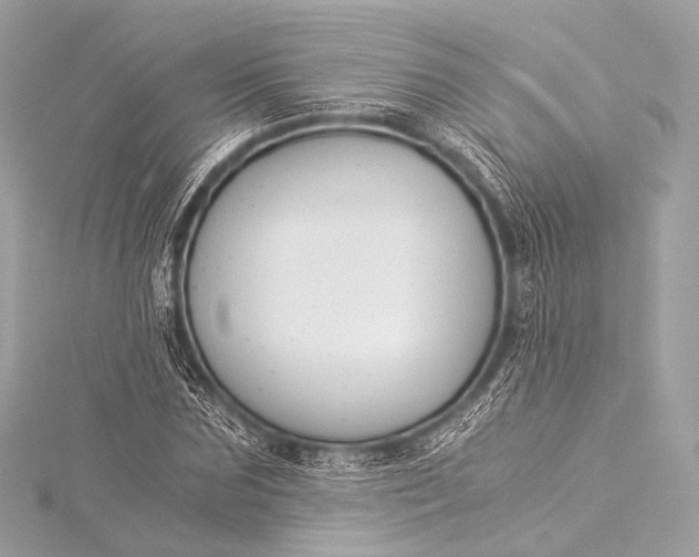 X0000116020875200912041748