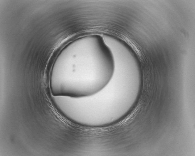 X0000116020876200912041748