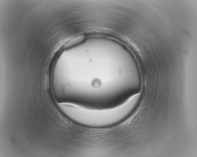 X0000116020877200912041748