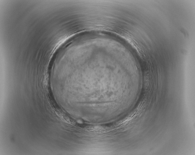 X0000116020879200912041748