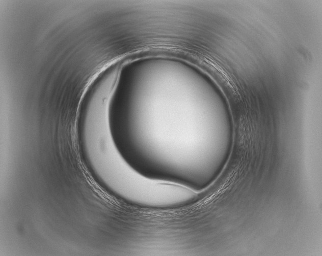 X0000116020880200912041748