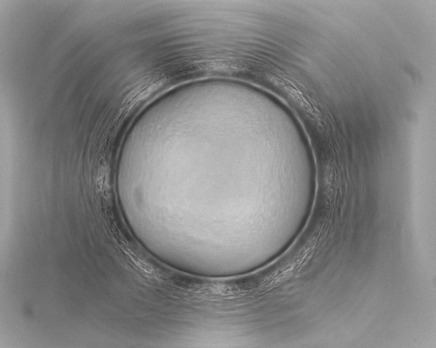 X0000116020881200912041748