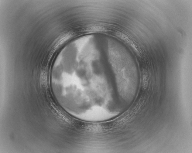 X0000116020882200912041748