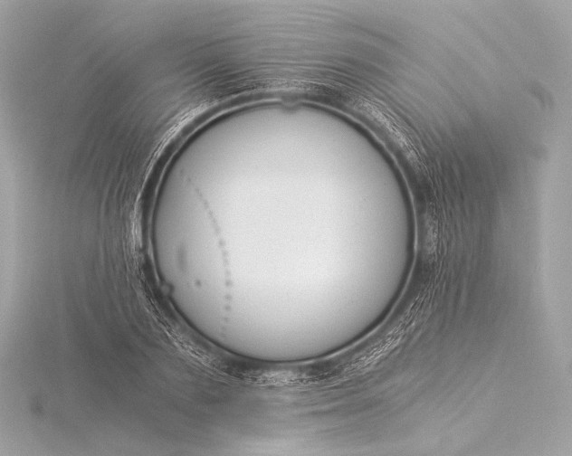 X0000116020883200912041748