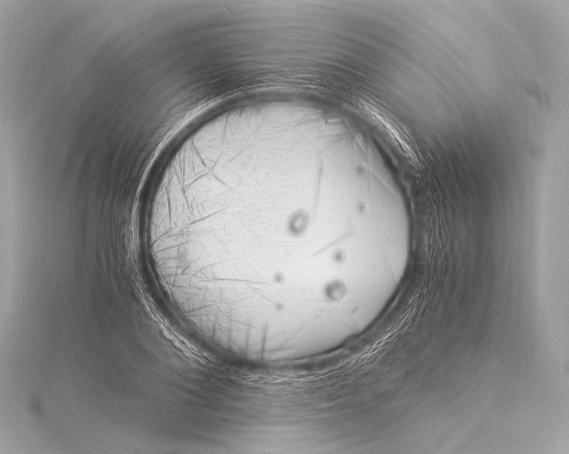 X0000116020884200912041748