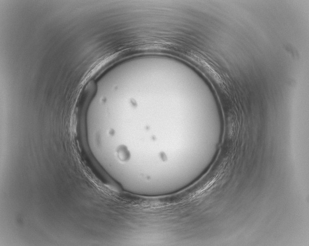 X0000116020885200912041748