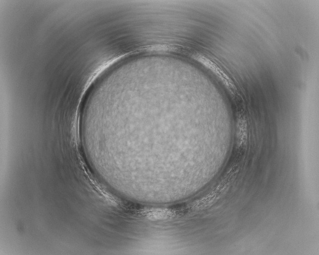 X0000116020886200912041748