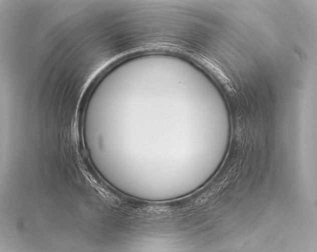 X0000116020888200912041748