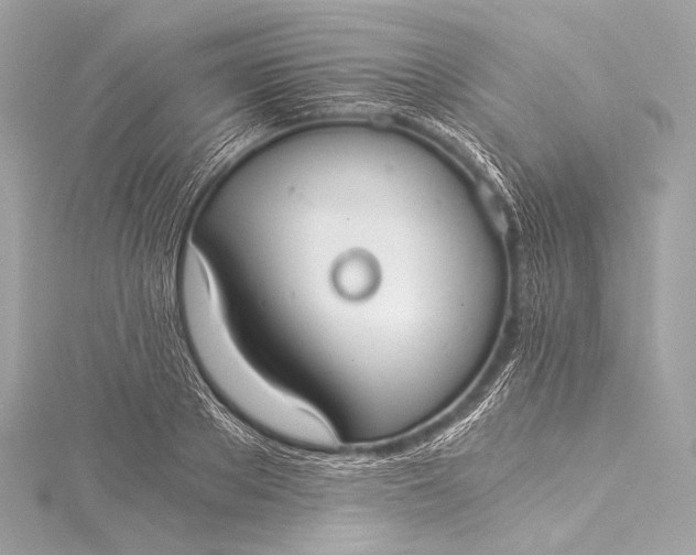 X0000116020889200912041748