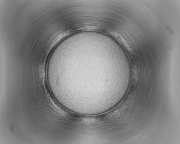 X0000116020890200912041748