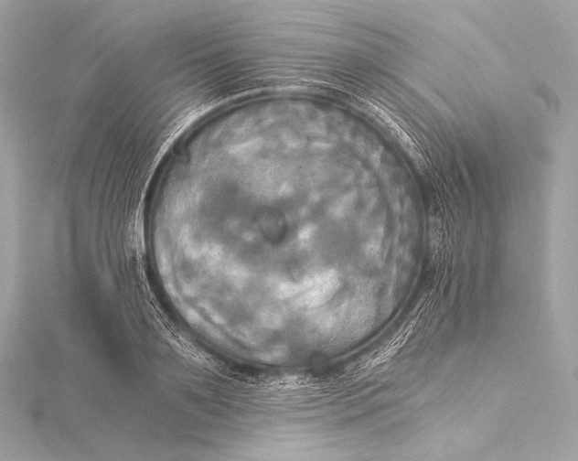 X0000116020891200912041748