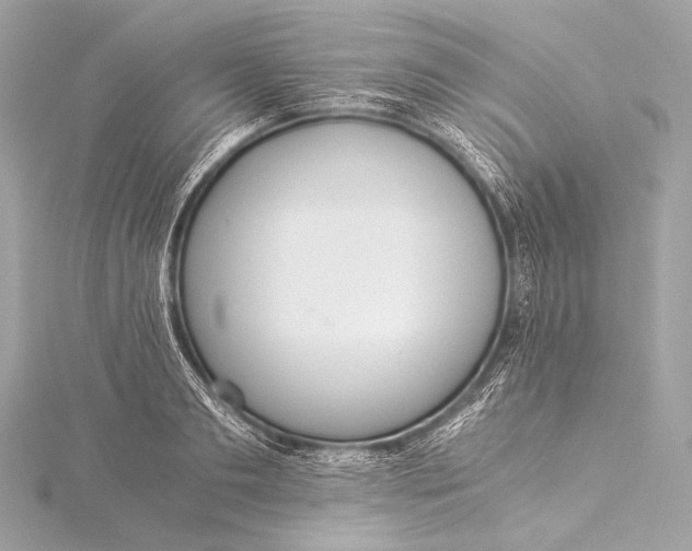 X0000116020893200912041748