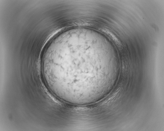 X0000116020894200912041748