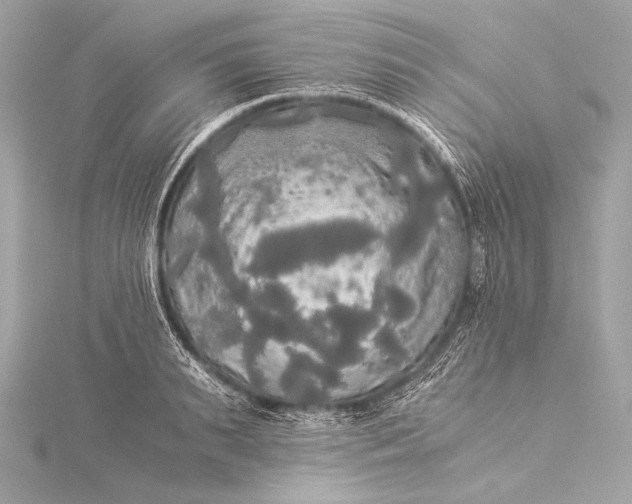 X0000116020895200912041748