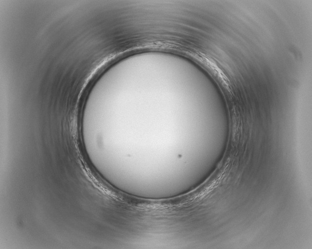 X0000116020896200912041748