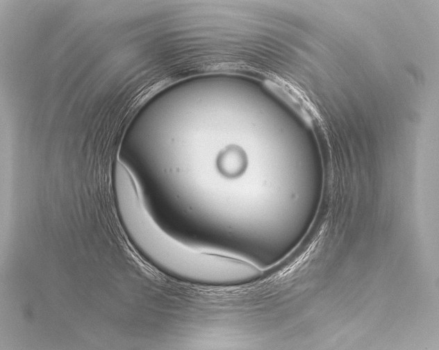 X0000116020897200912041748