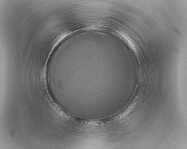 X0000116020899200912041748