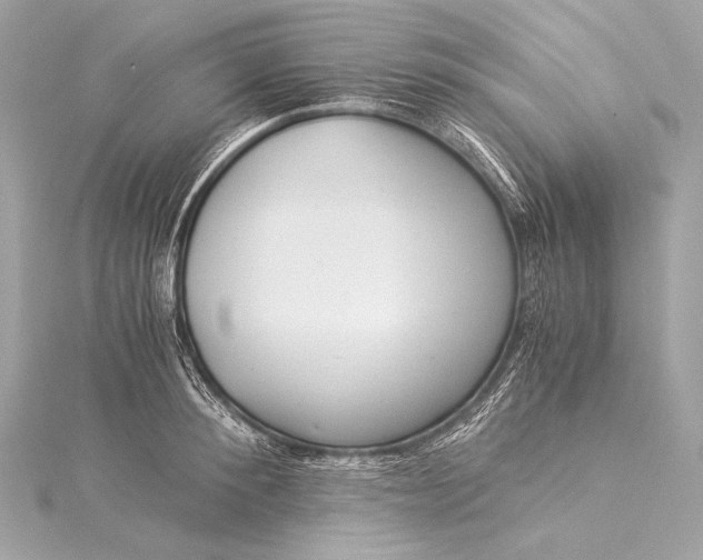 X0000116020900200912041748