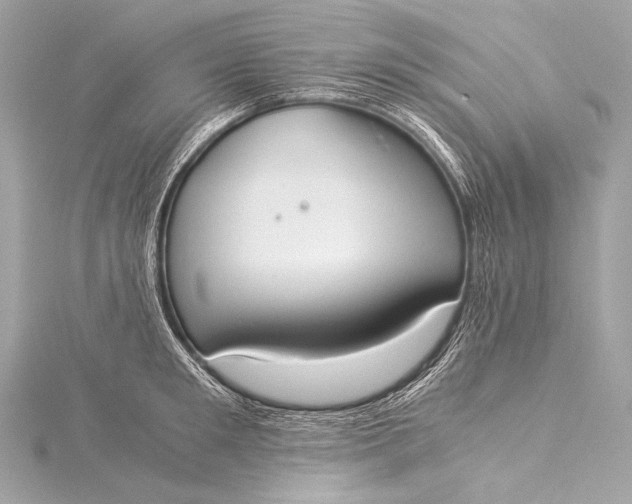 X0000116020901200912041748