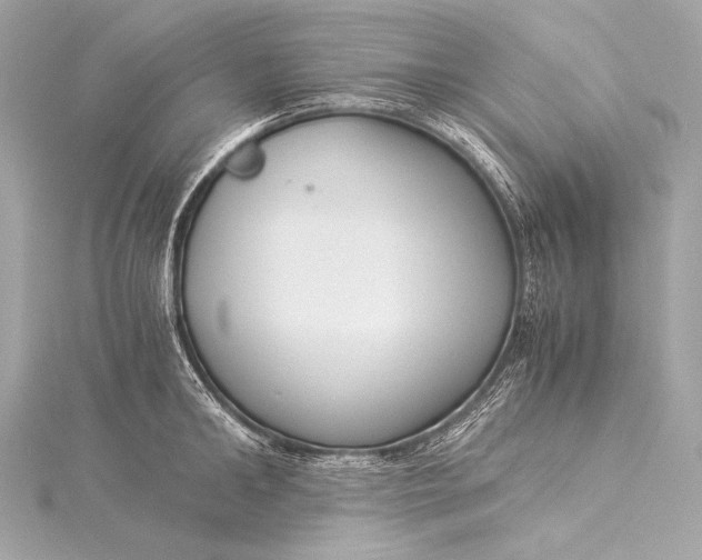 X0000116020902200912041748