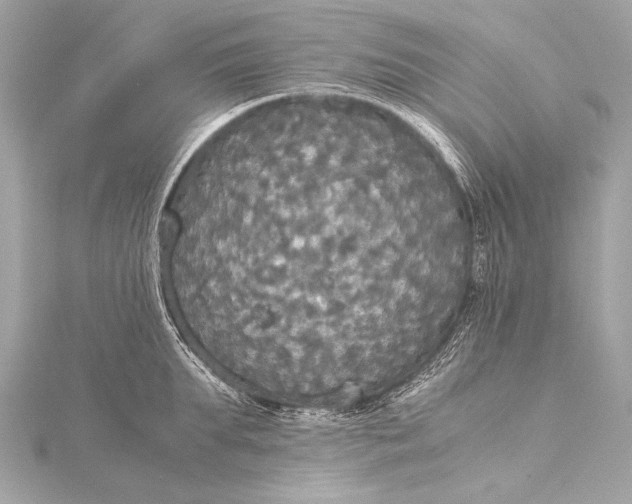 X0000116020903200912041748