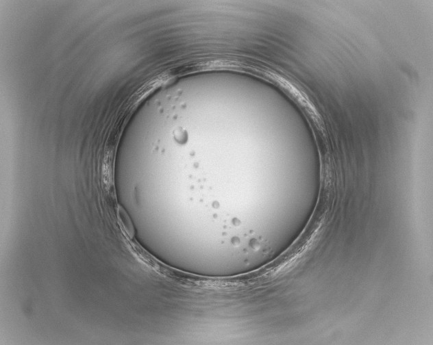 X0000116020905200912041748