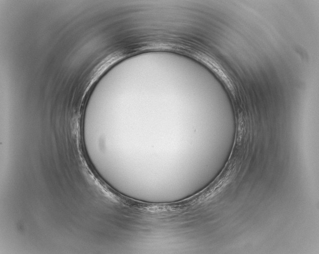 X0000116020906200912041748