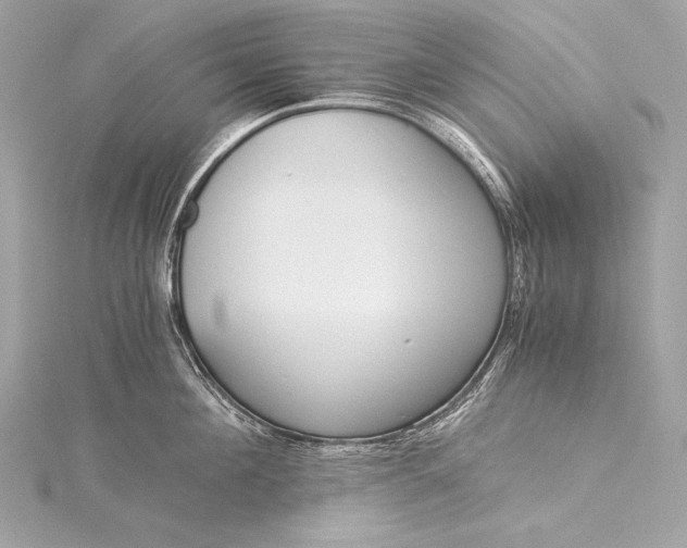 X0000116020908200912041747