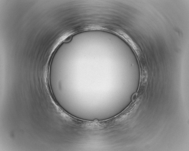 X0000116020909200912041747