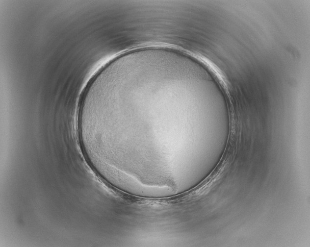 X0000116020910200912041747