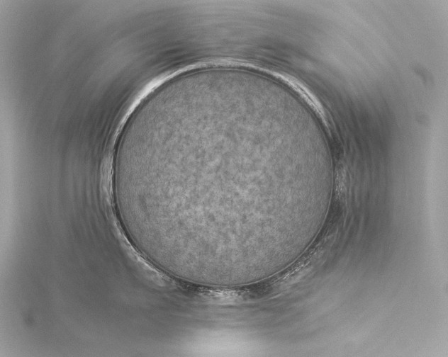 X0000116020911200912041747