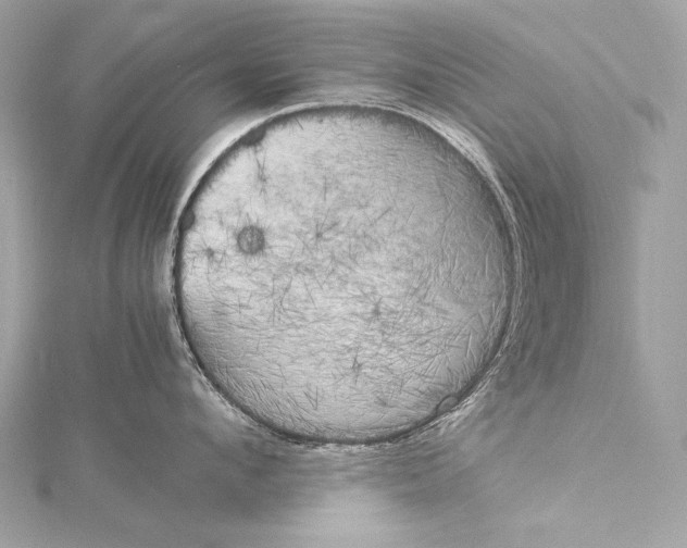 X0000116020912200912041747