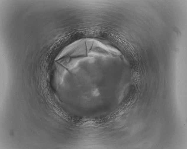 X0000116020913200912041747