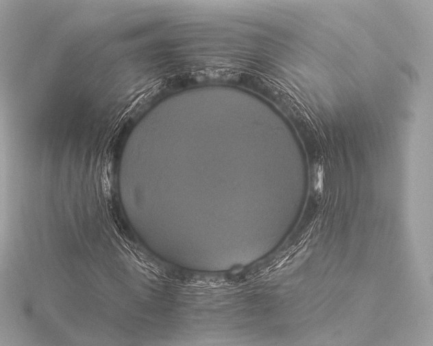 X0000116020915200912041747