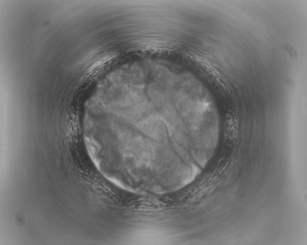 X0000116020918200912041747