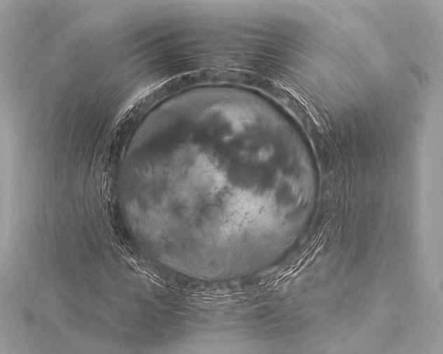 X0000116020919200912041747