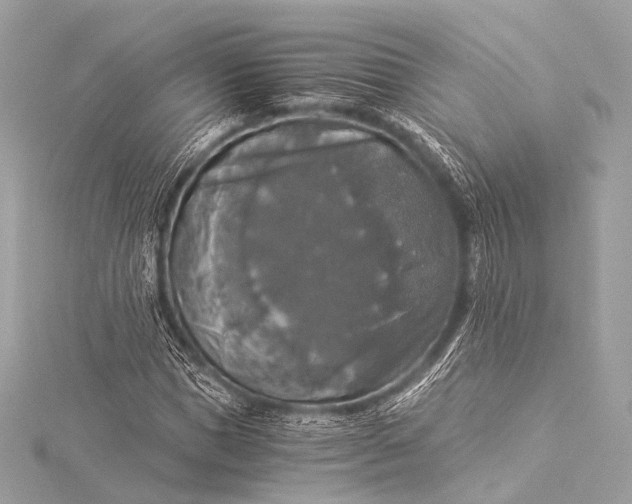 X0000116020921200912041747