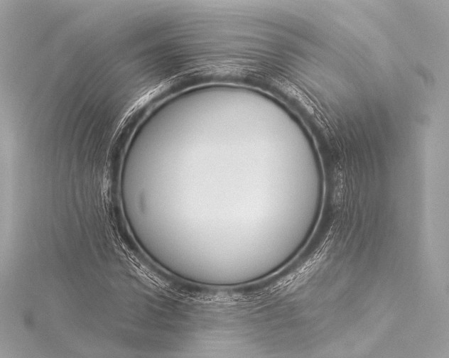 X0000116020922200912041747