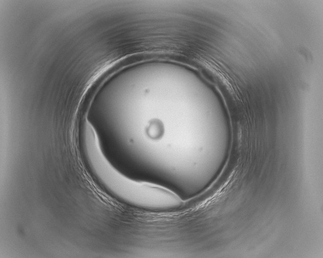 X0000116020925200912041747