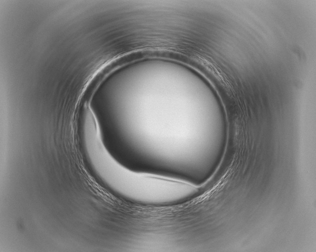 X0000116020926200912041747